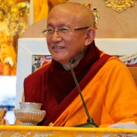 Foto web2 Gonsar Tulku Rinpoche