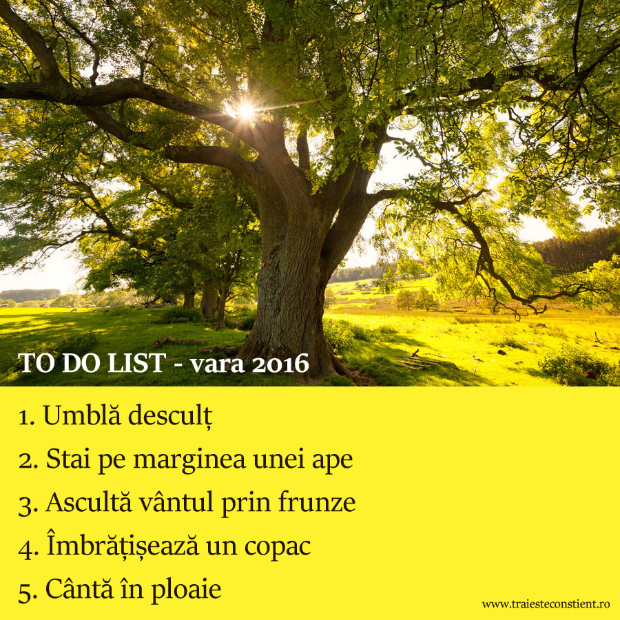 vara2016
